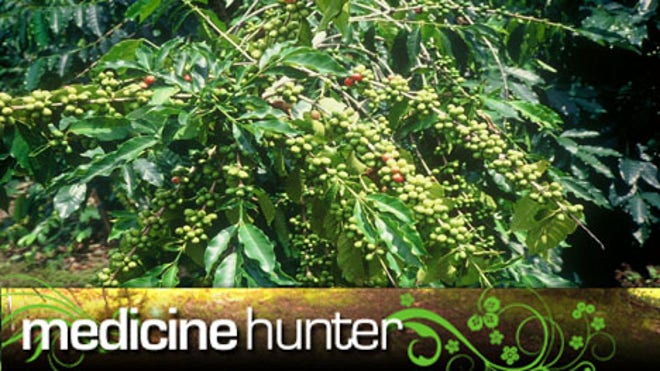 Green Coffee medhunter.jpg